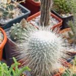 10-quiz-med-svar-lett-blanding-2