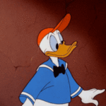 2-du-kan-litt-om-donald-men-ma-bli-bedre