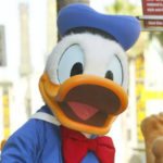 hva-kan-du-om-donald-duck