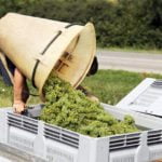 ord-og-uttrykk-om-vin-del-2