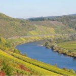 vindistrikt-og-vinland