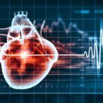 Vitenskap quiz 7 menneskets hjerte