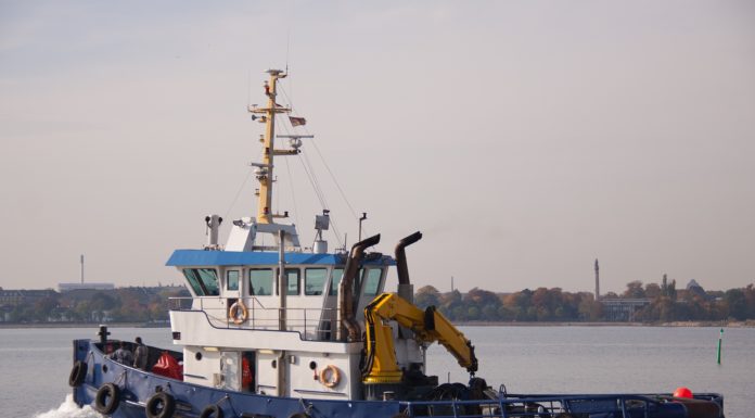 Båtførerprøven Jamaica har et Bobsleigh Team!